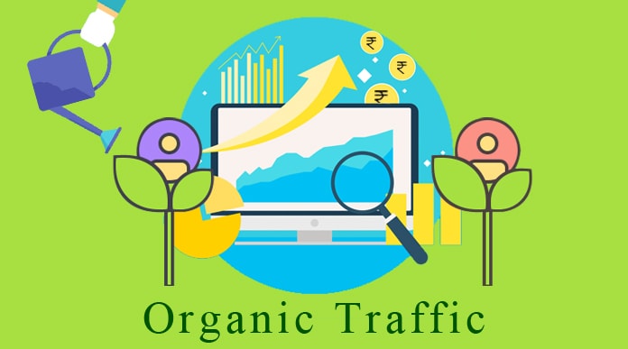 Mengenal Organic Traffic, Arti, Manfaat, Dan Cara Mendapatkannya