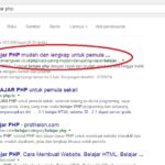 Penyebab Artikel Lama Terindex Google