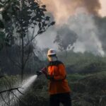 Sitaba Kabupaten Langkat