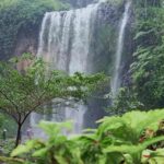 Dlh kabupaten tanggamus