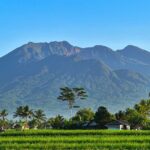 Dlh kabupaten tasikmalaya