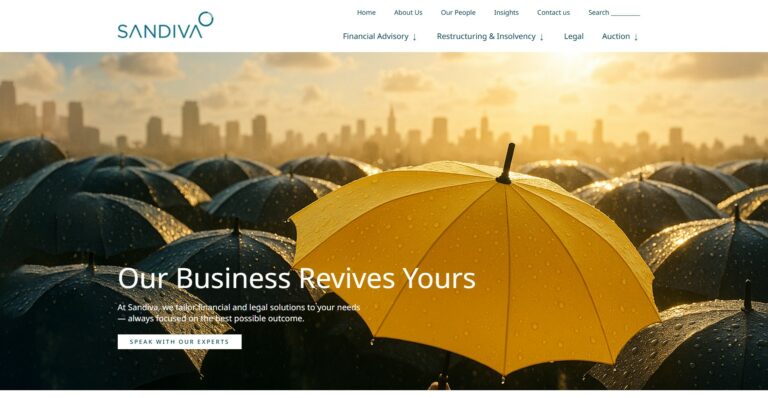 Sandiva business consultant