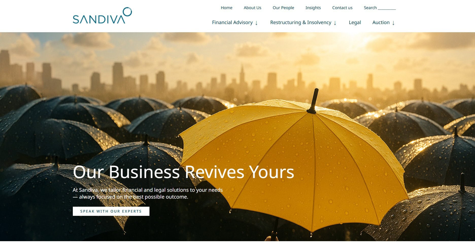 Sandiva business consultant